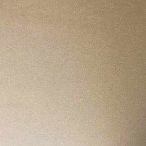 Meet your Posher, Frances